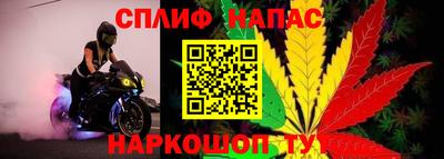 каннабис Чебаркуль