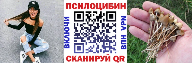 дарнет шоп  Ревда  Псилоцибиновые грибы ЛСД 