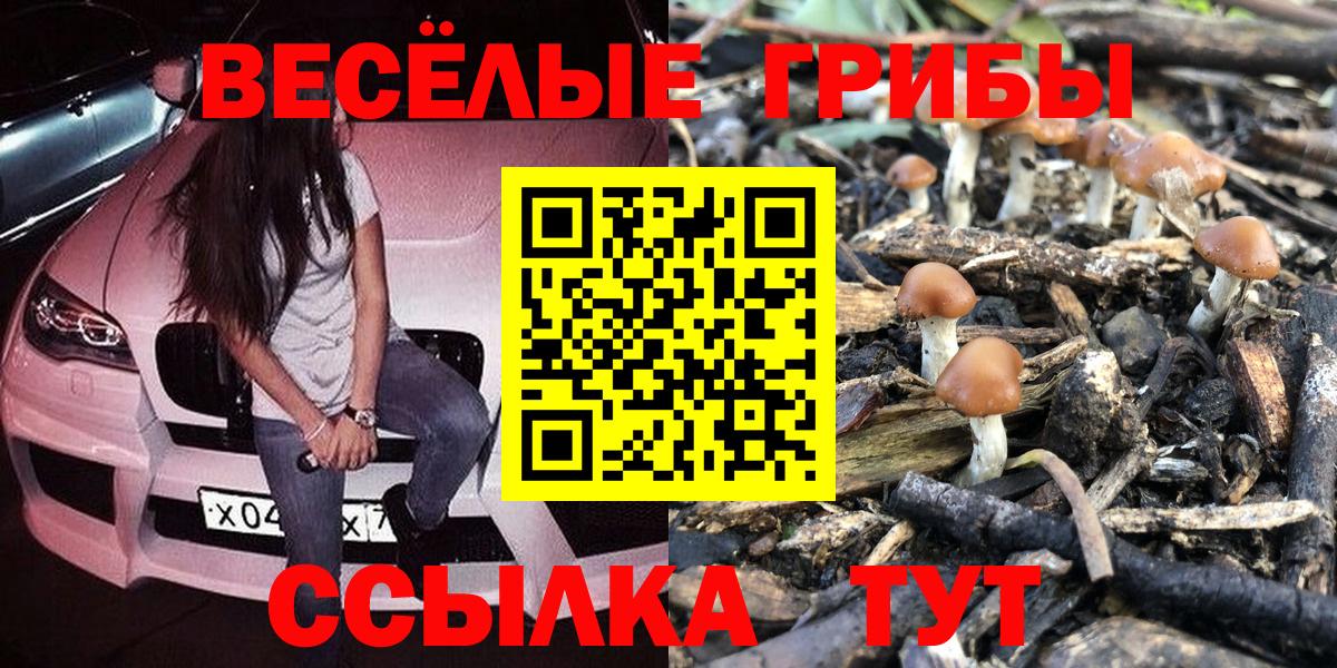 Галлюциногенные грибы прущие грибы Ревда