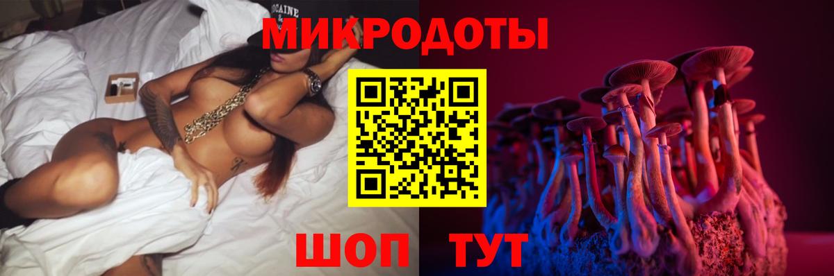 Ревда  Псилоцибиновые грибы Psilocybine cubensis  Вход с VPN 